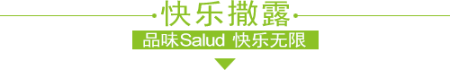 salud撒露,欧洲冻酸奶,冻酸奶加盟,冻酸奶加盟费,酸奶冰淇淋加盟连锁店,酸奶冰激凌店加盟,2018最有前景的全国连锁加盟店,2018年加盟什么店最赚钱