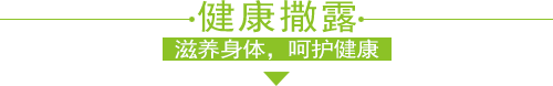 salud撒露,欧洲冻酸奶,冻酸奶加盟,冻酸奶加盟费,酸奶冰淇淋加盟连锁店,酸奶冰激凌店加盟,2018最有前景的全国连锁加盟店,2018年加盟什么店最赚钱